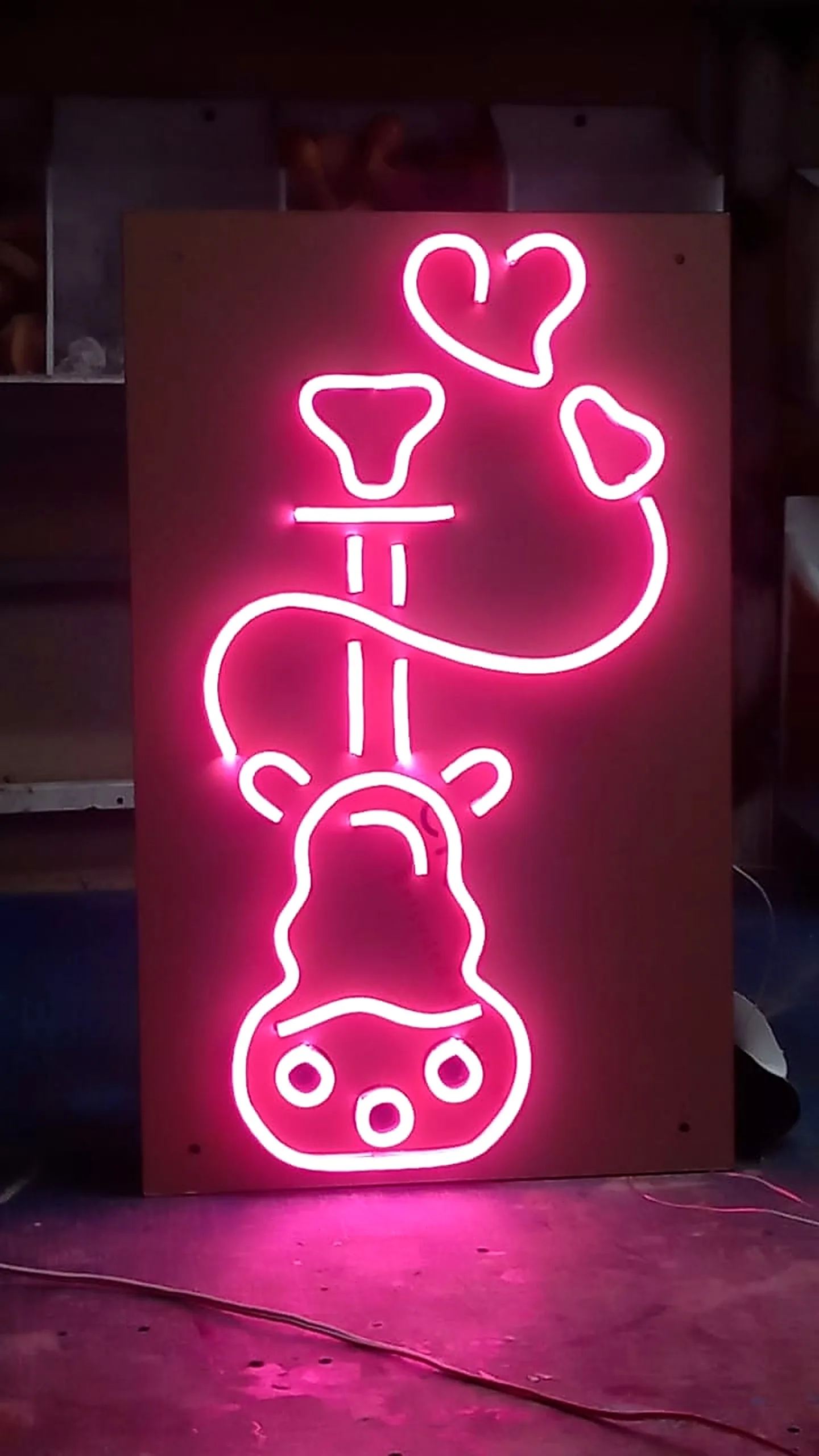 LED neon flex signage with Arabic and English lettering, Riyadh